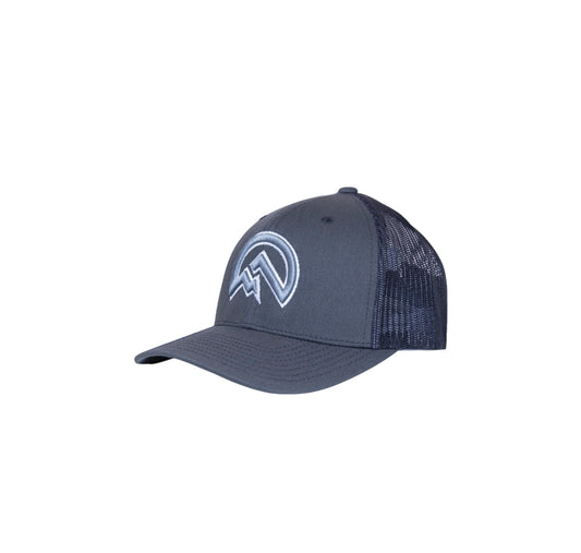 Flux Logo Cap - Grey/Grey